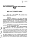 Vista preliminar de documento 049-2024-GRAL