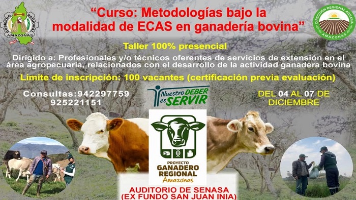 PG CURSO