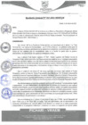 Vista preliminar de documento rgm43