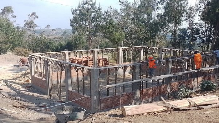 MLUYA VIEJO2