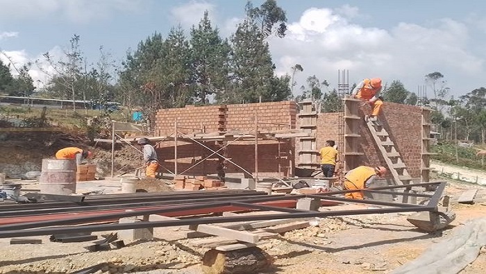 MLUYA VIEJO4