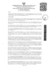 Vista preliminar de documento Resolución N° 295-2024-UNAMAD-VRI
