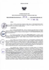 Vista preliminar de documento RDR N° 612-2024-22-11-2024