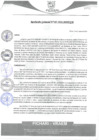 Vista preliminar de documento rgm107