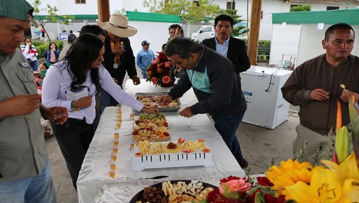 CLQUESOS5