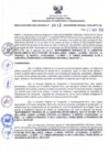 Vista preliminar de documento RDR N° 617-2024-22-11-2024