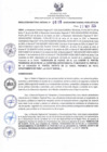 Vista preliminar de documento RDR N° 619-2024-22-11-2024