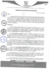 Vista preliminar de documento rgm290