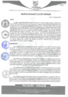 Vista preliminar de documento rgm313