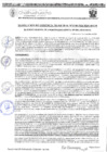 Vista preliminar de documento RGM 1348-2024