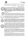 Vista preliminar de documento RGGR820
