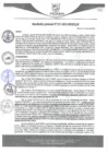 Vista preliminar de documento rgm353