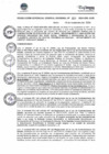 Vista preliminar de documento RGGR821