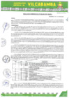 Vista preliminar de documento RADMIN 388 2024
