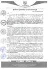 Vista preliminar de documento rgm521