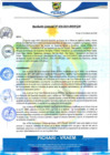 Vista preliminar de documento rgm38