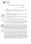Vista preliminar de documento RGM N° 737-MPHGM