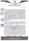 Vista preliminar de documento rgm297