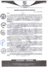 Vista preliminar de documento rgm299
