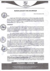 Vista preliminar de documento rgm483