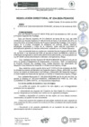 Vista preliminar de documento rd234-2024