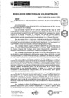 Vista preliminar de documento rd233-2024