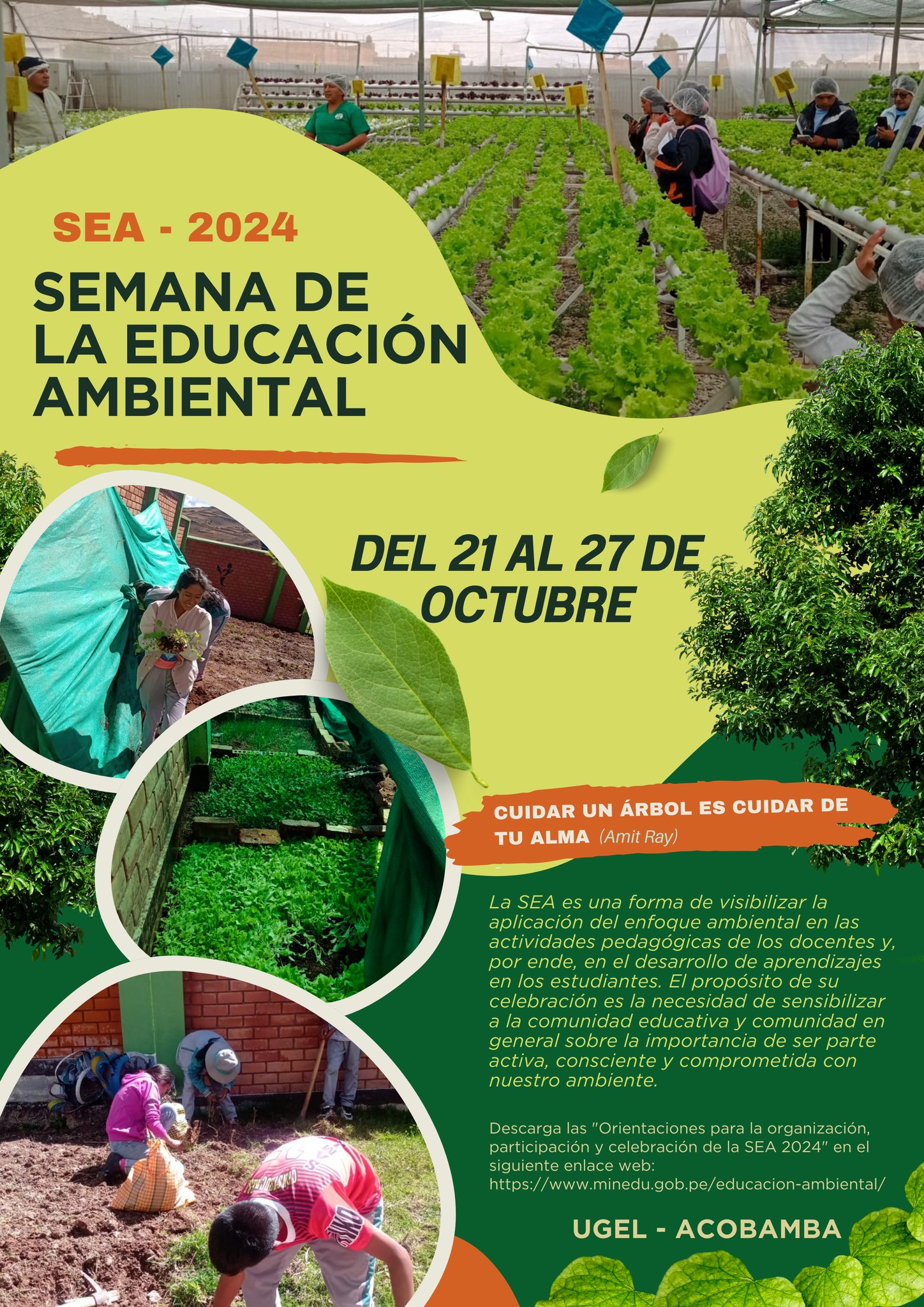 Semana Ambiental