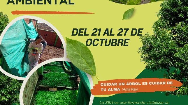 Semana Ambiental