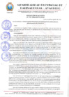 Vista preliminar de documento RESOLUCION ALCALDIA N° 598-2024-MPPC/AYAC.