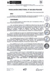Vista preliminar de documento rd240-2024