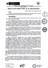 Vista preliminar de documento rd241-2024