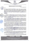 Vista preliminar de documento rgm580