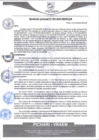 Vista preliminar de documento rgm584