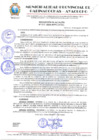 Vista preliminar de documento RESOLUCION ALCALDIA N° 604-2024-MPPC/AYAC.