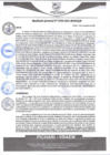 Vista preliminar de documento rgm590