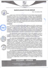 Vista preliminar de documento rgm591