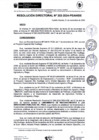 Vista preliminar de documento rd253-2024