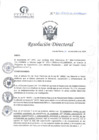 Vista preliminar de documento RD N°366-11-2024-DE HCLLH-MINSA