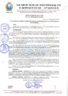 Vista preliminar de documento RESOLUCION ALCALDIA N° 607-2024-MPPC/AYAC.
