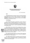 Vista preliminar de documento RDE 022-2024-PMSAJ-EJENOPENAL