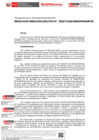 Vista preliminar de documento RDE 715-2024