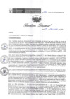 Vista preliminar de documento RD 232 DG 2024