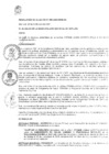 Vista preliminar de documento RA-295-2024