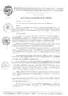 Vista preliminar de documento Resolucion de Alcaldia N°294-2017-MDP/ALC