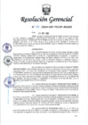 Vista preliminar de documento RESOLUCION N° 383-2024-PECHP
