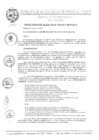 Vista preliminar de documento Resolucion de Alcaldia N°302-2017-MDP/ALC