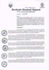 Vista preliminar de documento RDR 266