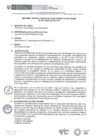 Vista preliminar de documento Informe técnico previo de evaluación de software CAD para Provias Descentralizado.