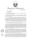 Vista preliminar de documento RM N°113-2020-PCM