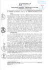 Vista preliminar de documento RGSRLS 0099-2024